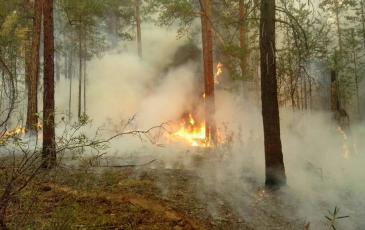 Лесной пожар на территории Прибайкальского Национального заповедника 